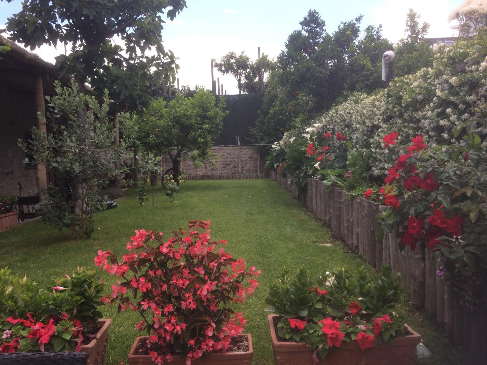 Giardino Sorrentino Bed & Breakfast Exterior photo